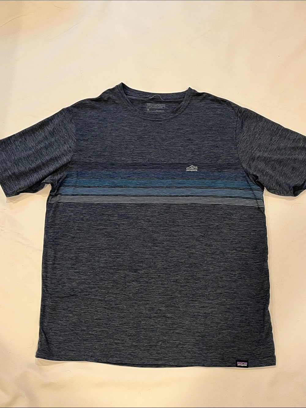 Patagonia Men's Heather Navy Short-Sleeve Tee with Blue Stripe